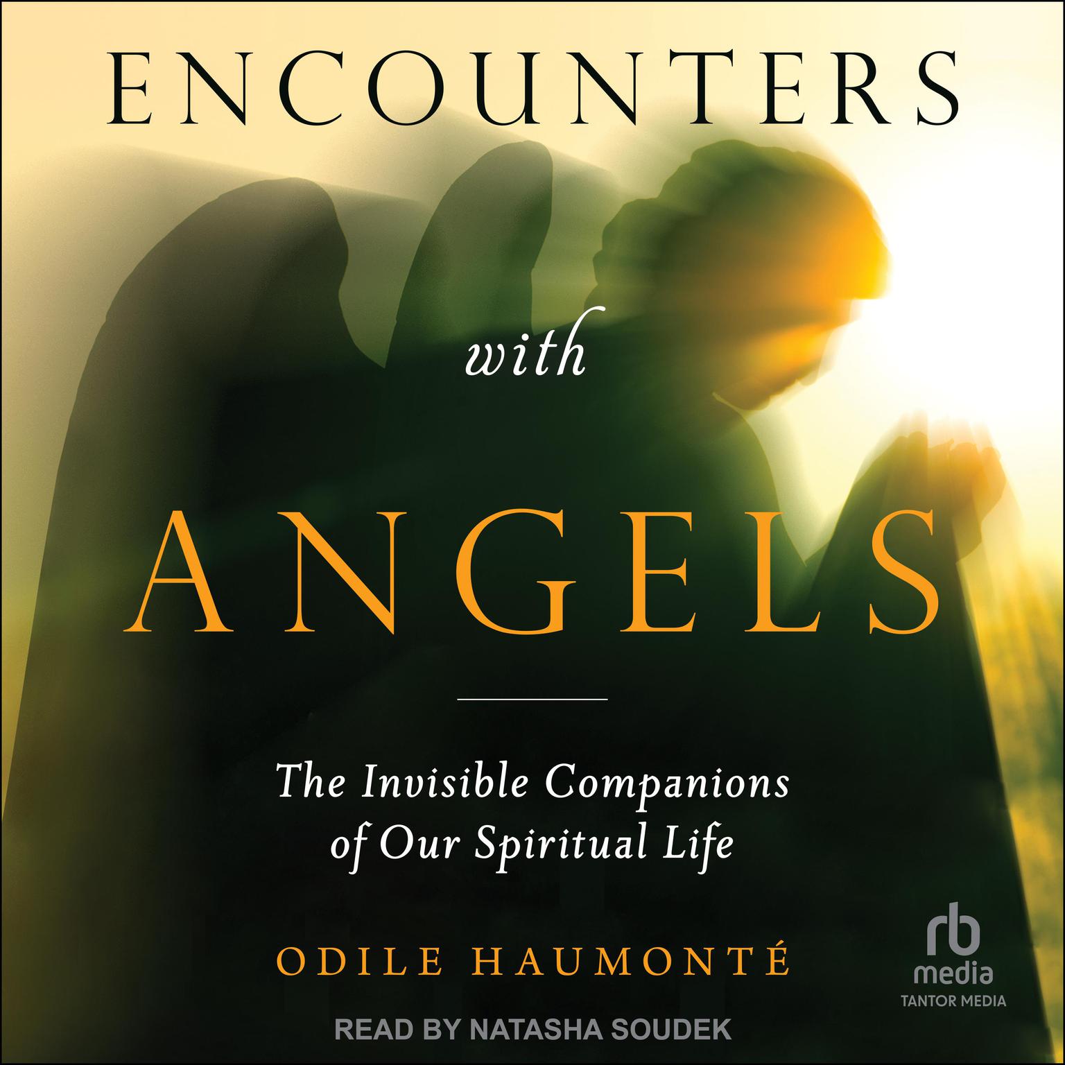 Encounters with Angels: The Invisible Companions of Our Spiritual Life Audiobook, by Odile Haumonte