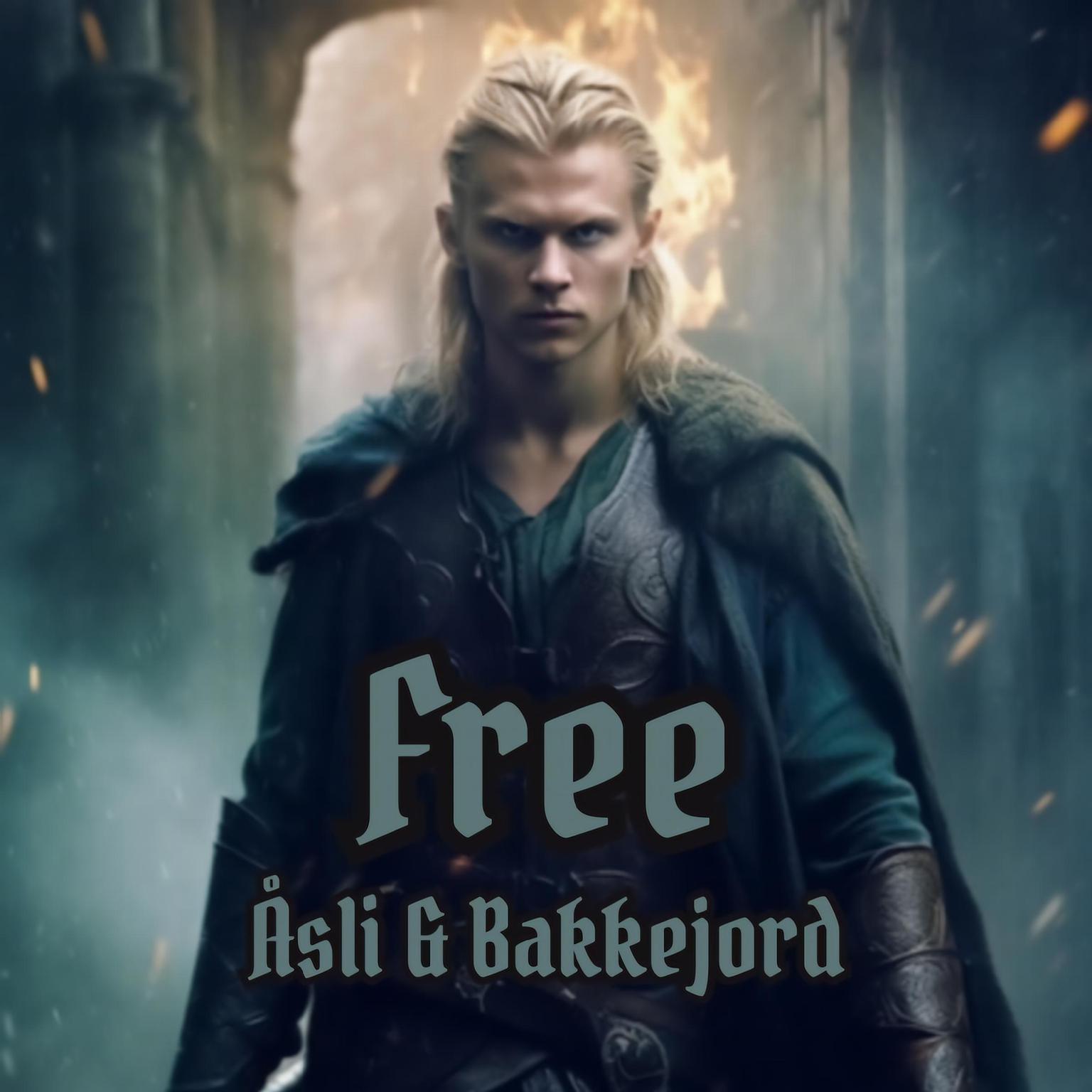 Free (The Viking Ventures Trilogy - Book 3) Audiobook, by Ole Åsli