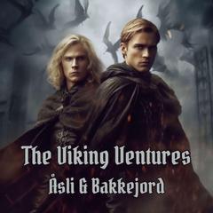 Viking Ventures Audiobook, by Ole Åsli