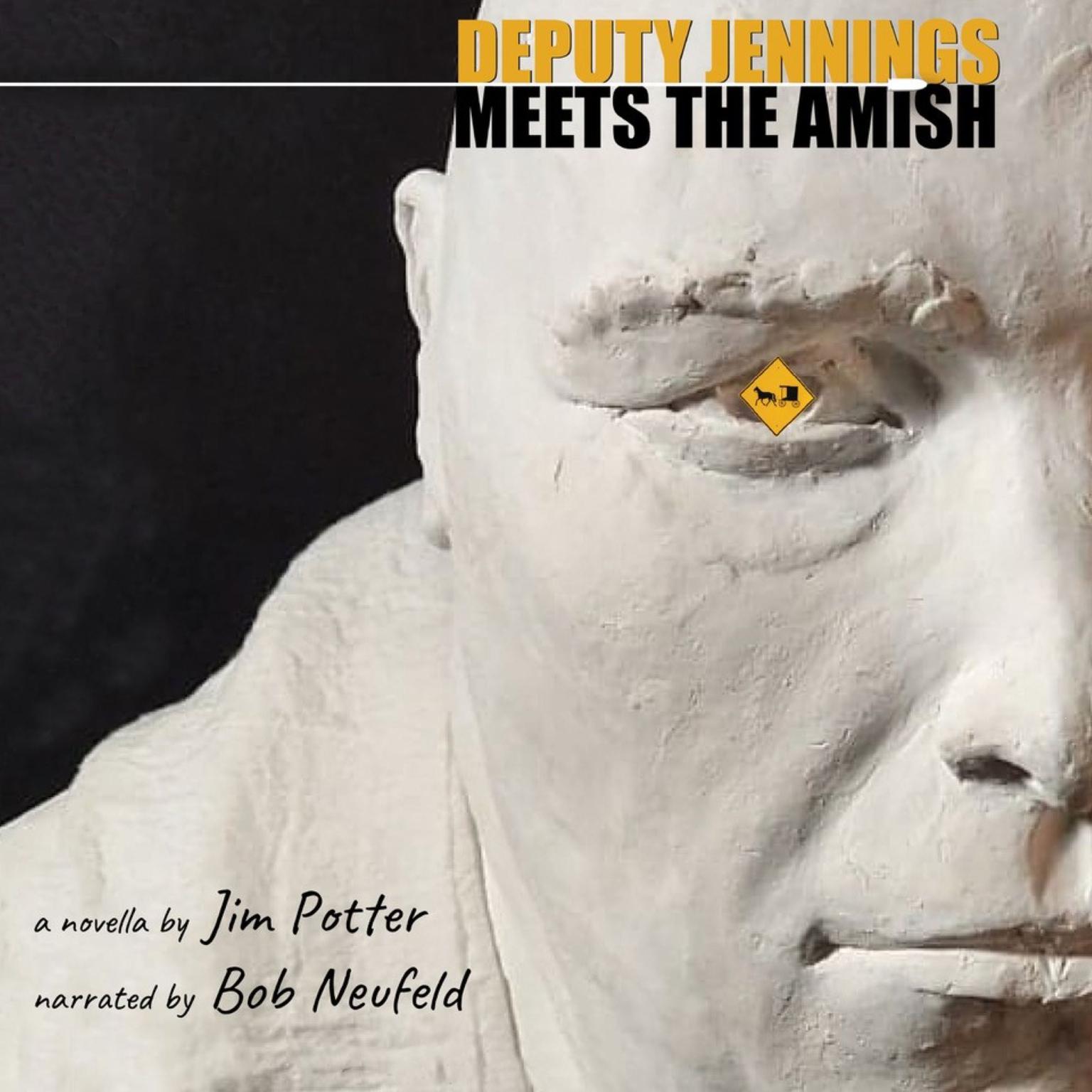 Deputy Jennings Meets the Amish: A Novella Audiobook, by Jim Potter
