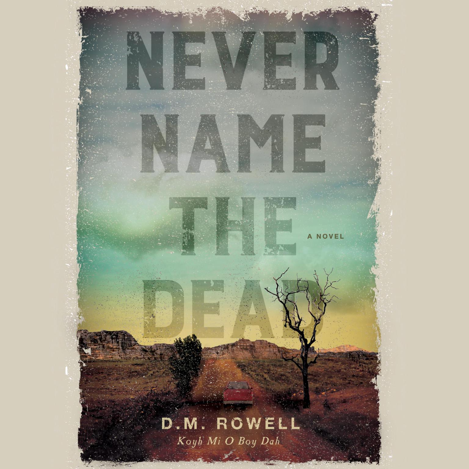 Never Name the Dead Audiobook, by D. M. Rowell