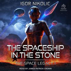 The Spaceship In The Stone Audiobook, by Igor Nikolic