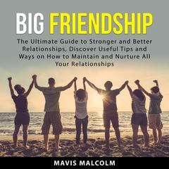 Big Friendship Audiobook, by Mavis Malcolm