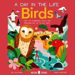 Birds (A Day in the Life): What Do Flamingos, Owls, and Penguins Get Up To All Day? Audiobook, by Alex Bond