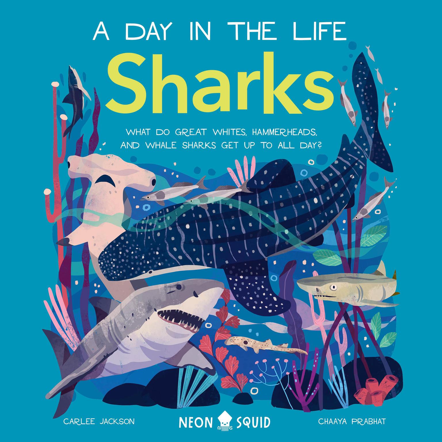 Sharks (A Day in the Life): What Do Great Whites, Hammerheads, and Whale Sharks Get Up To All Day? Audiobook, by Carlee Jackson