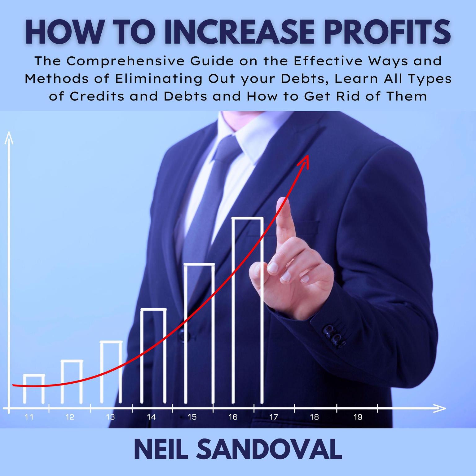 How To increase Profits Audiobook, by Neil Sandoval