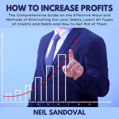 How To increase Profits Audiobook, by Neil Sandoval