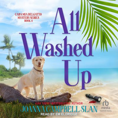 All Washed Up Audiobook, by Joanna Campbell Slan