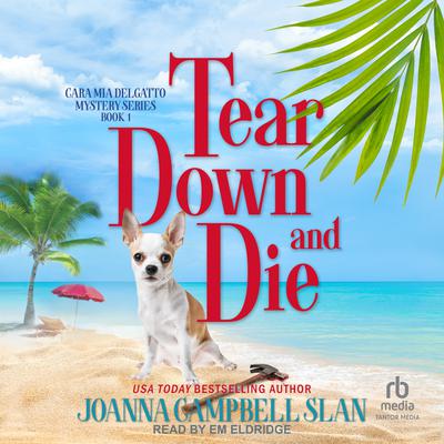 Tear Down and Die Audiobook, by Joanna Campbell Slan