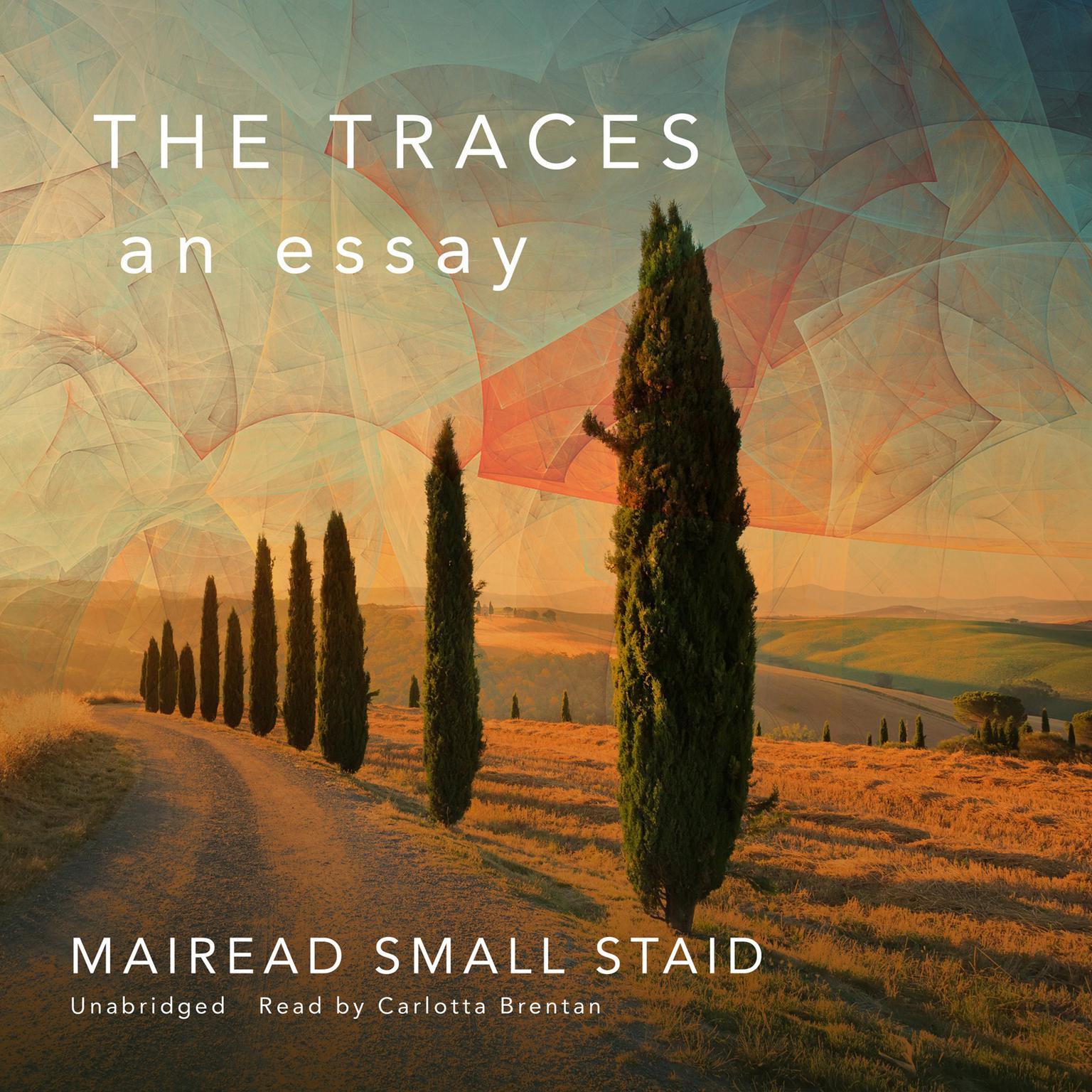 The Traces: An Essay Audiobook, by Mairead Small Staid