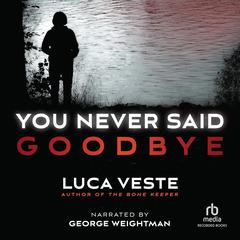 You Never Said Goodbye Audiobook, by Luca Veste