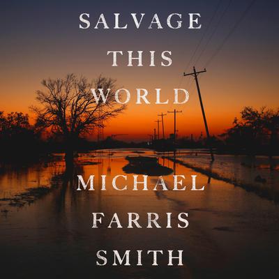 Salvage This World Audiobook, by Michael Farris Smith