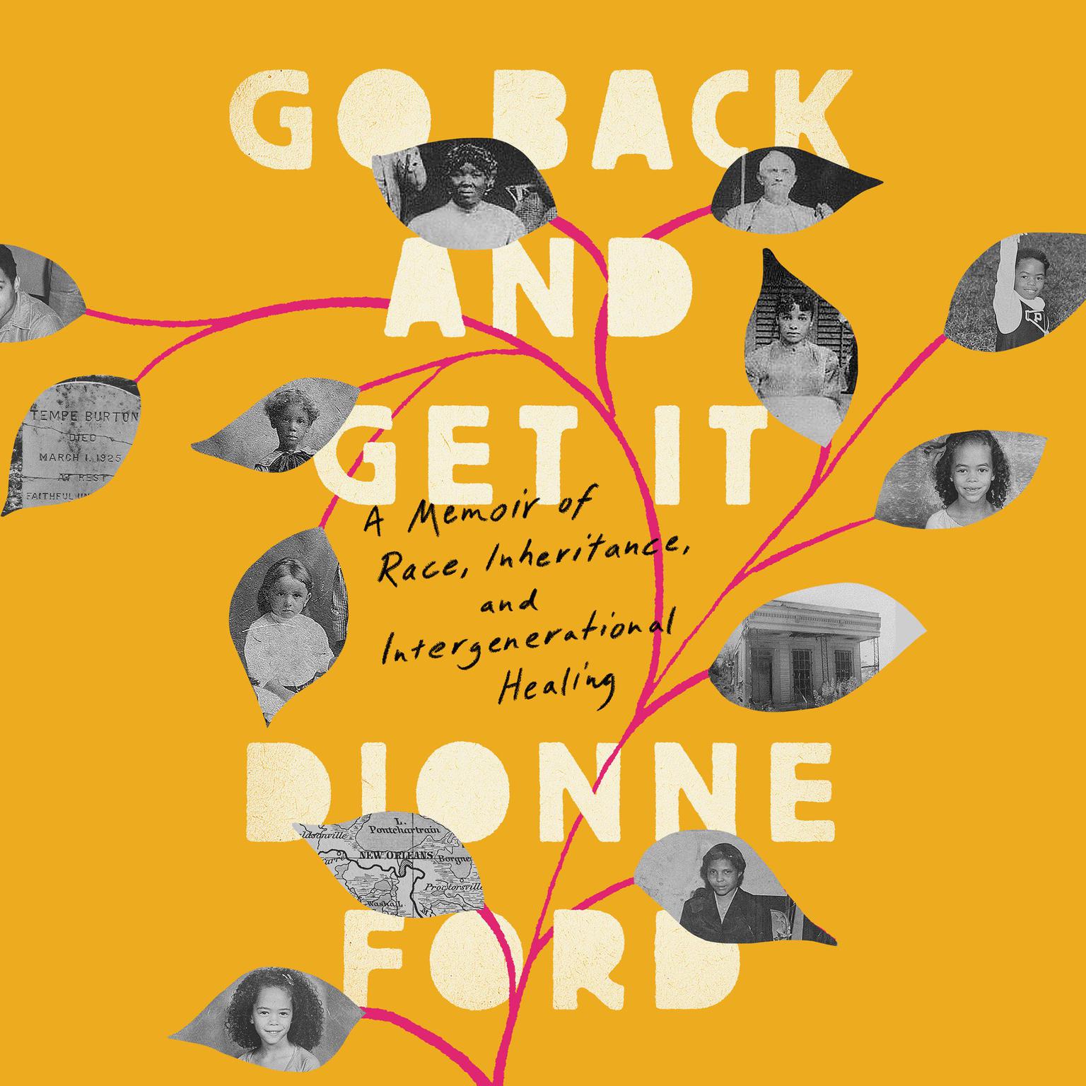 Go Back and Get It: A Memoir of Race, Inheritance, and Intergenerational Healing Audiobook, by Dionne Ford