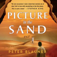 Picture in the Sand Audiobook, by Peter Blauner