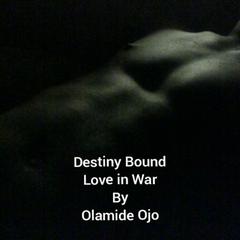 Destiny Bound Audiobook, by Olamide Ojo