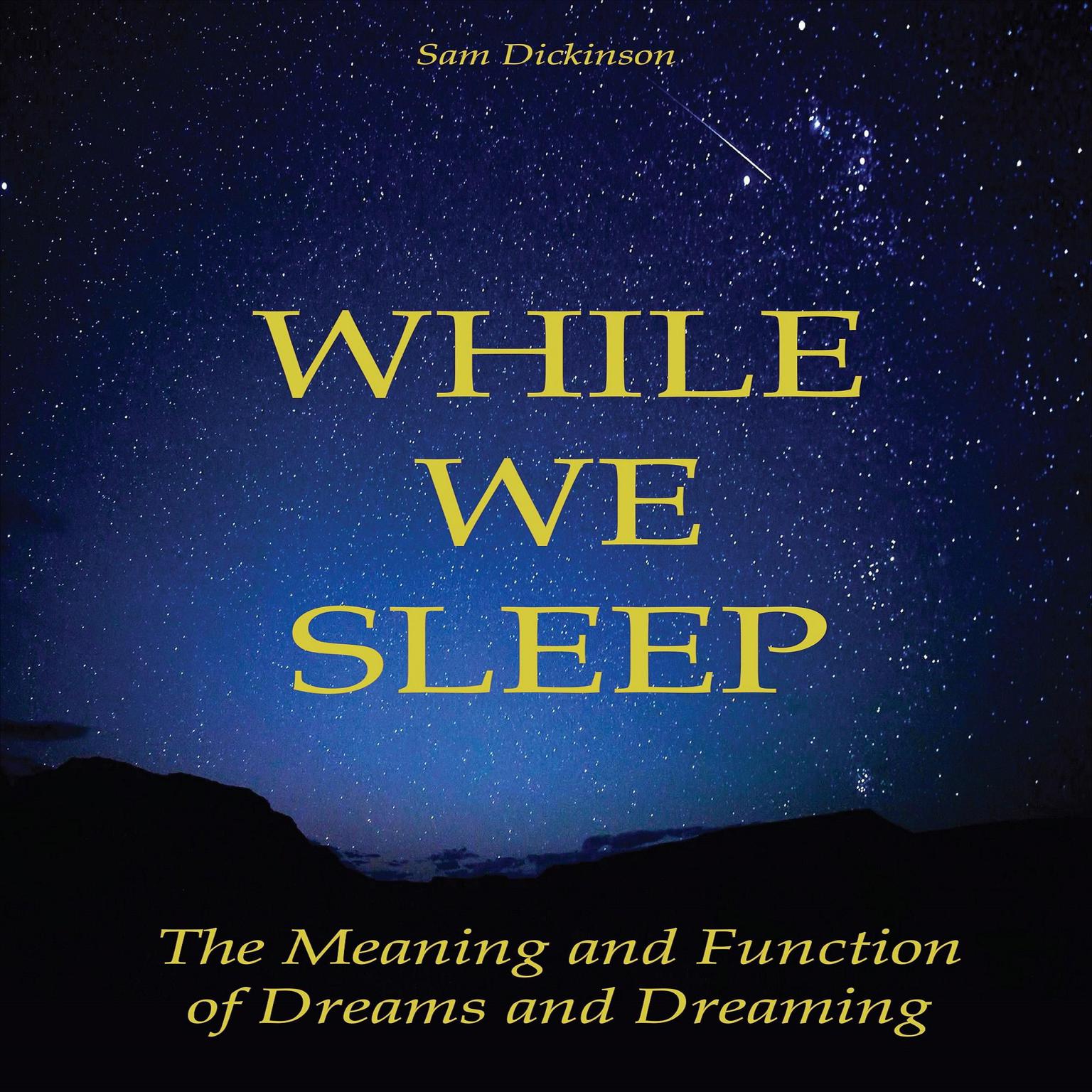 While we Sleep Audiobook, by Sam Dickinson