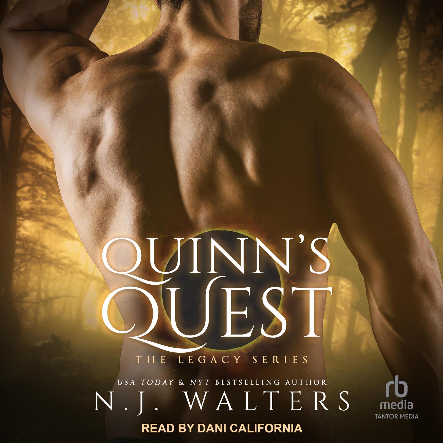 Quinns Quest Audiobook, by N.J. Walters