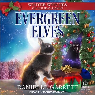 Evergreen Elves Audiobook, by Danielle Garrett