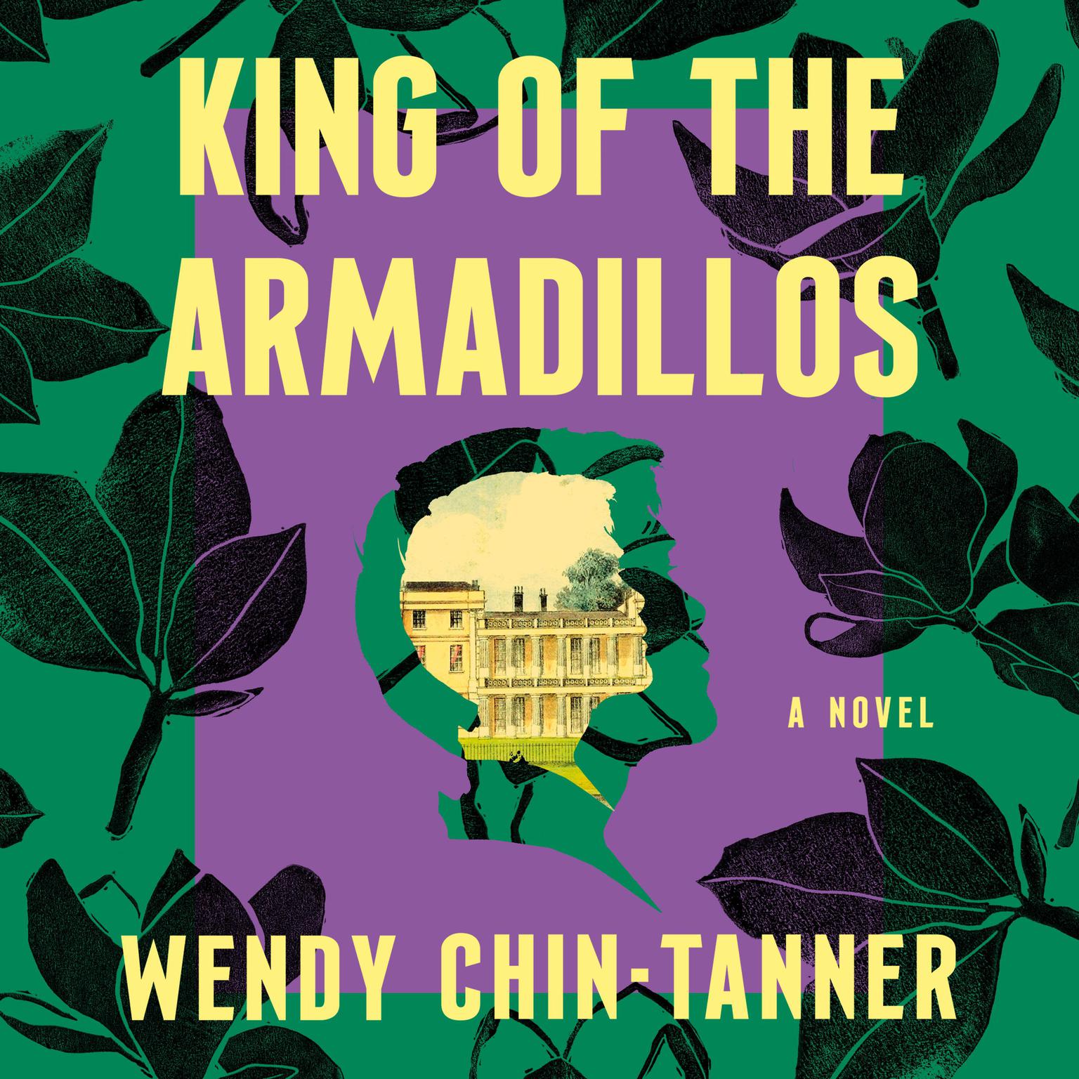 King of the Armadillos: A Novel Audiobook, by Wendy Chin-Tanner