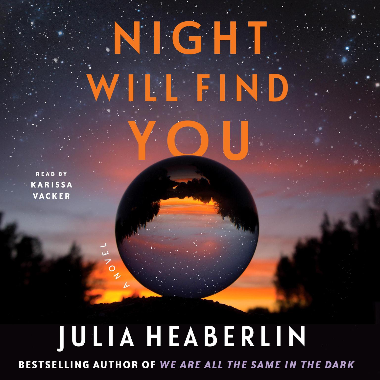 Night Will Find You: A Novel Audiobook, by Julia Heaberlin
