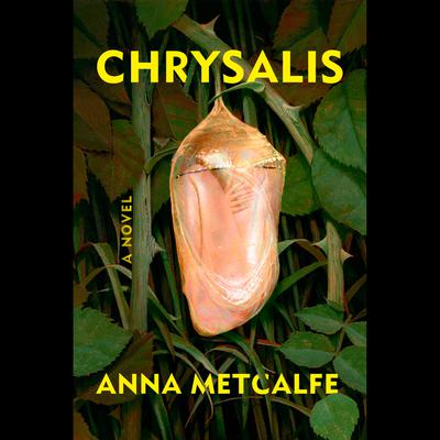 Chrysalis: A Novel Audiobook, by Anna Metcalfe
