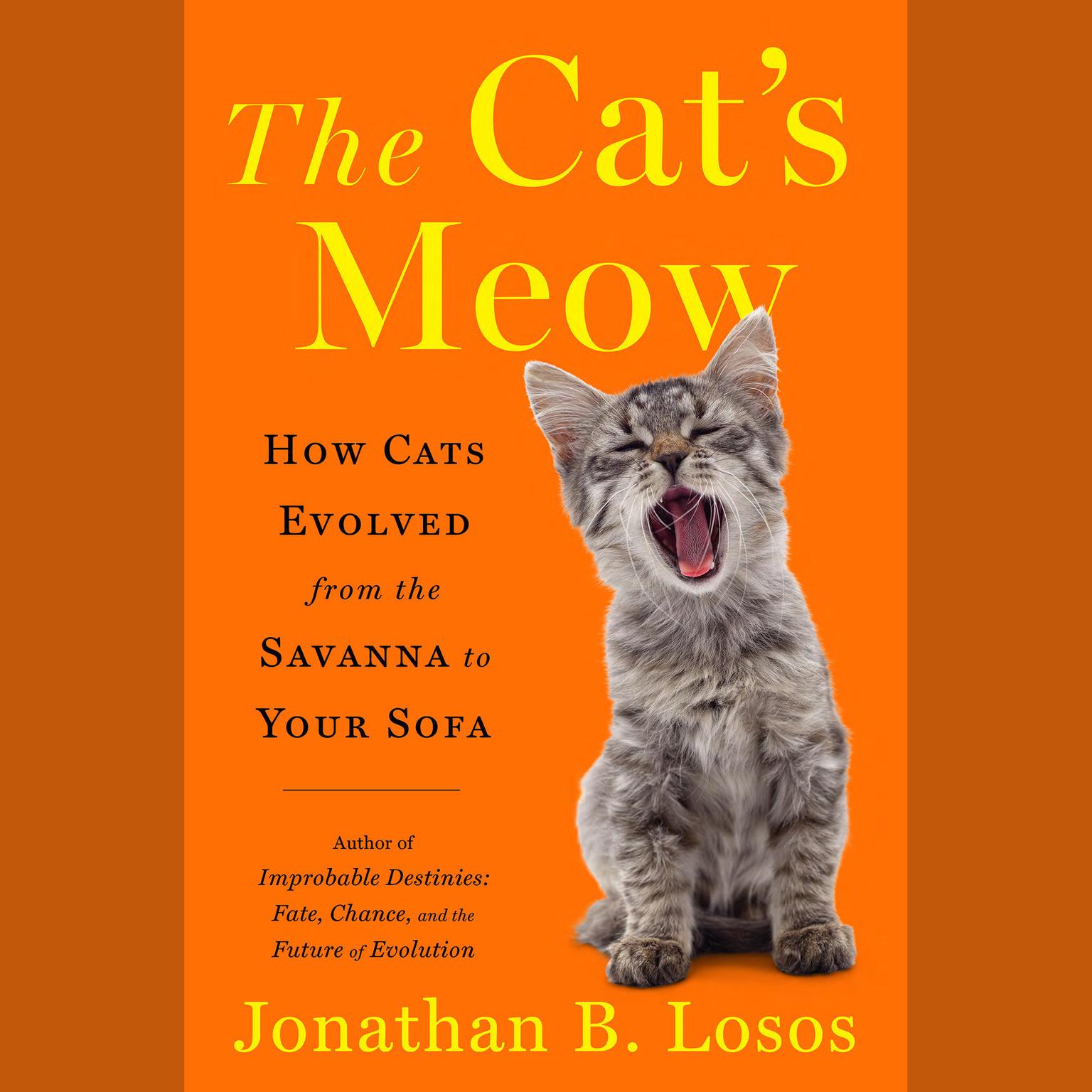 The Cats Meow: How Cats Evolved from the Savanna to Your Sofa Audiobook, by Jonathan B. Losos