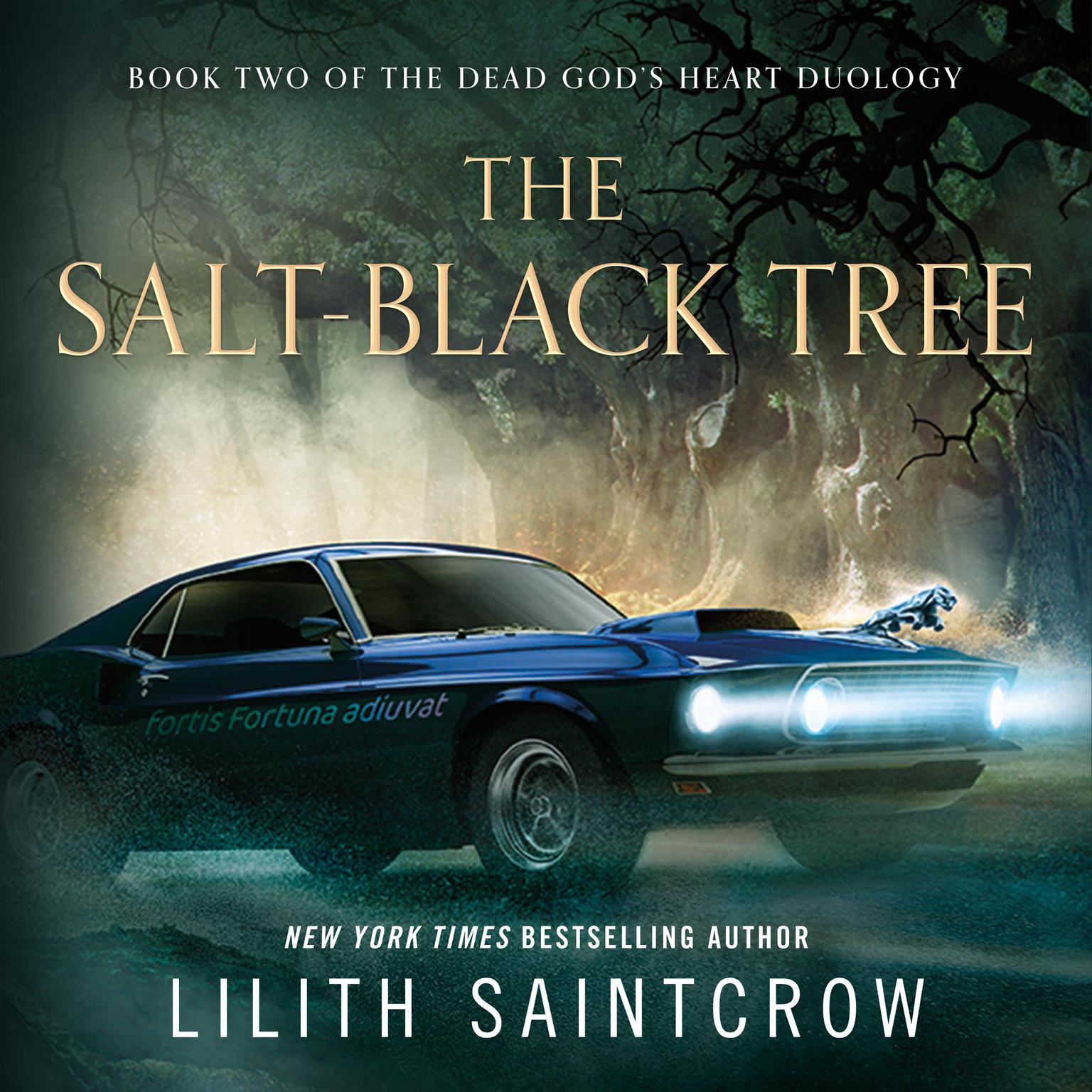 The Salt-Black Tree: Book Two of the Dead Gods Heart Duology Audiobook, by Lilith Saintcrow