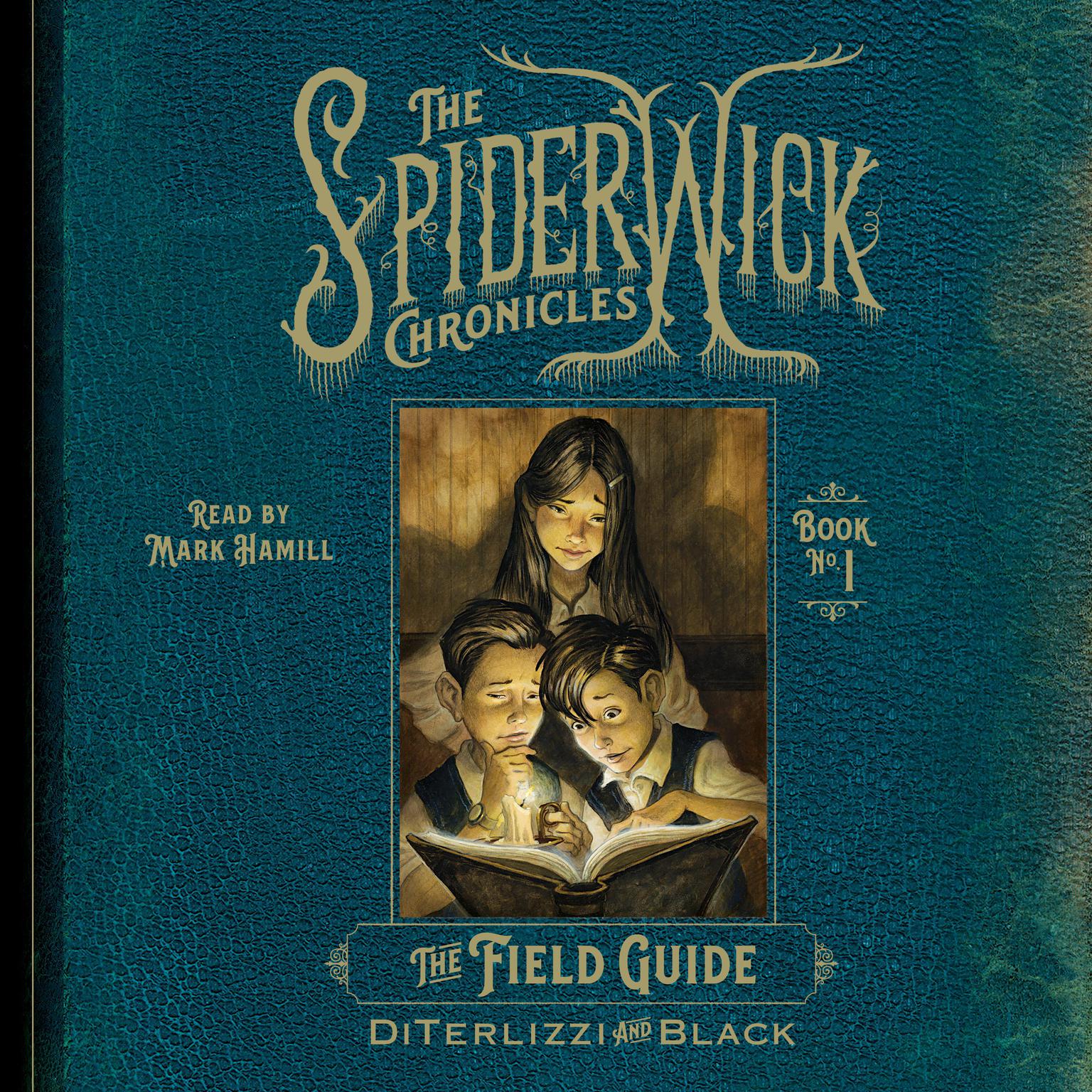 The Field Guide Audiobook, by Holly Black