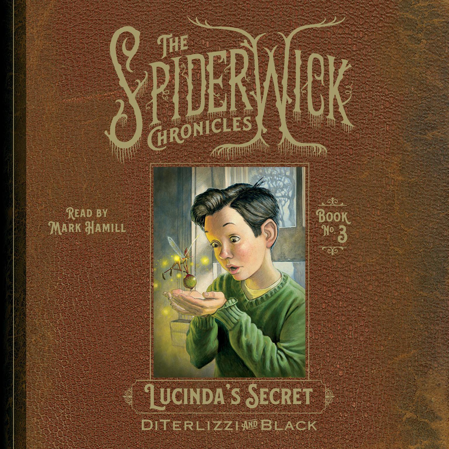 Lucindas Secret Audiobook, by Holly Black
