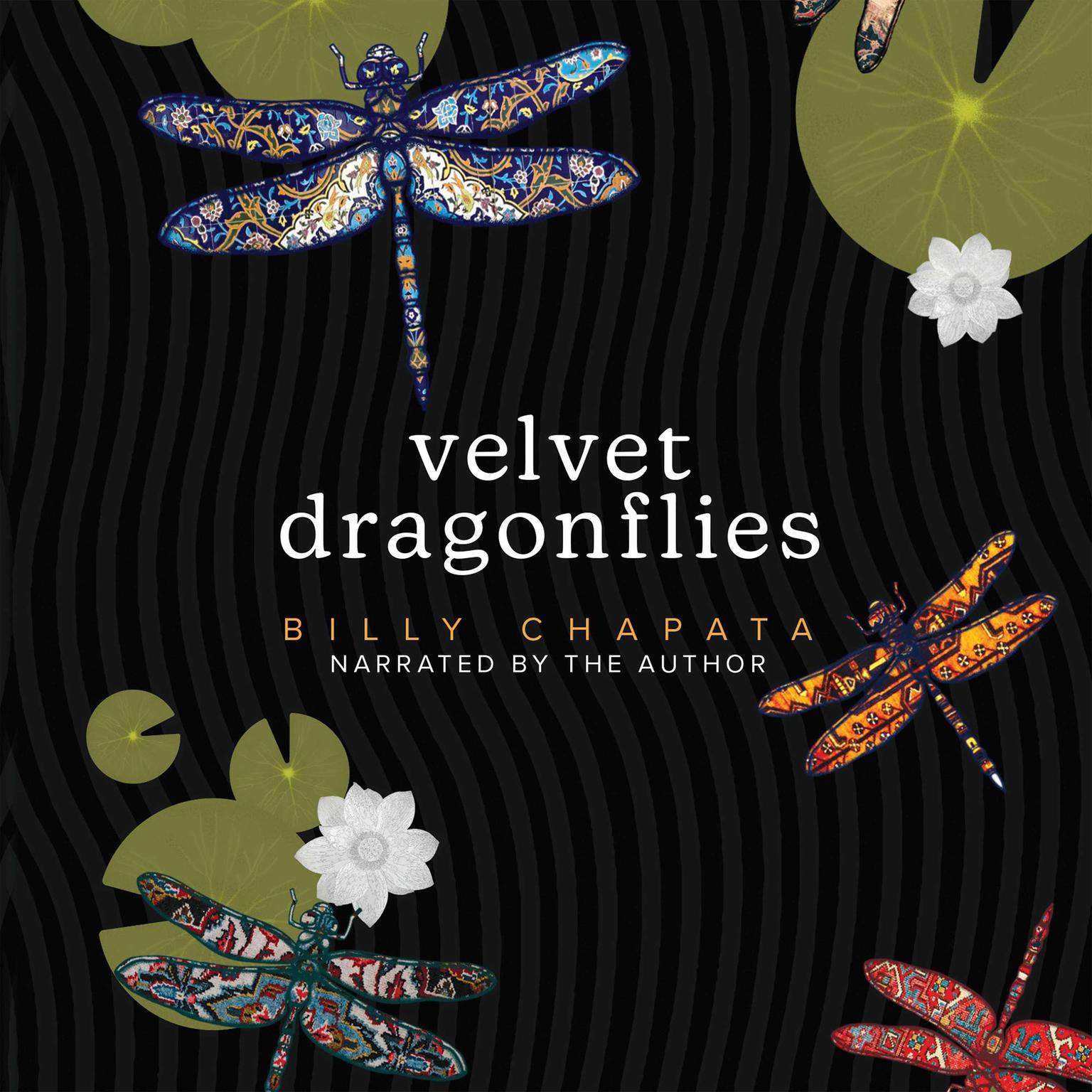 Velvet Dragonflies Audiobook, by Billy Chapata