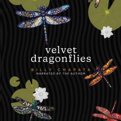 Velvet Dragonflies Audiobook, by Billy Chapata