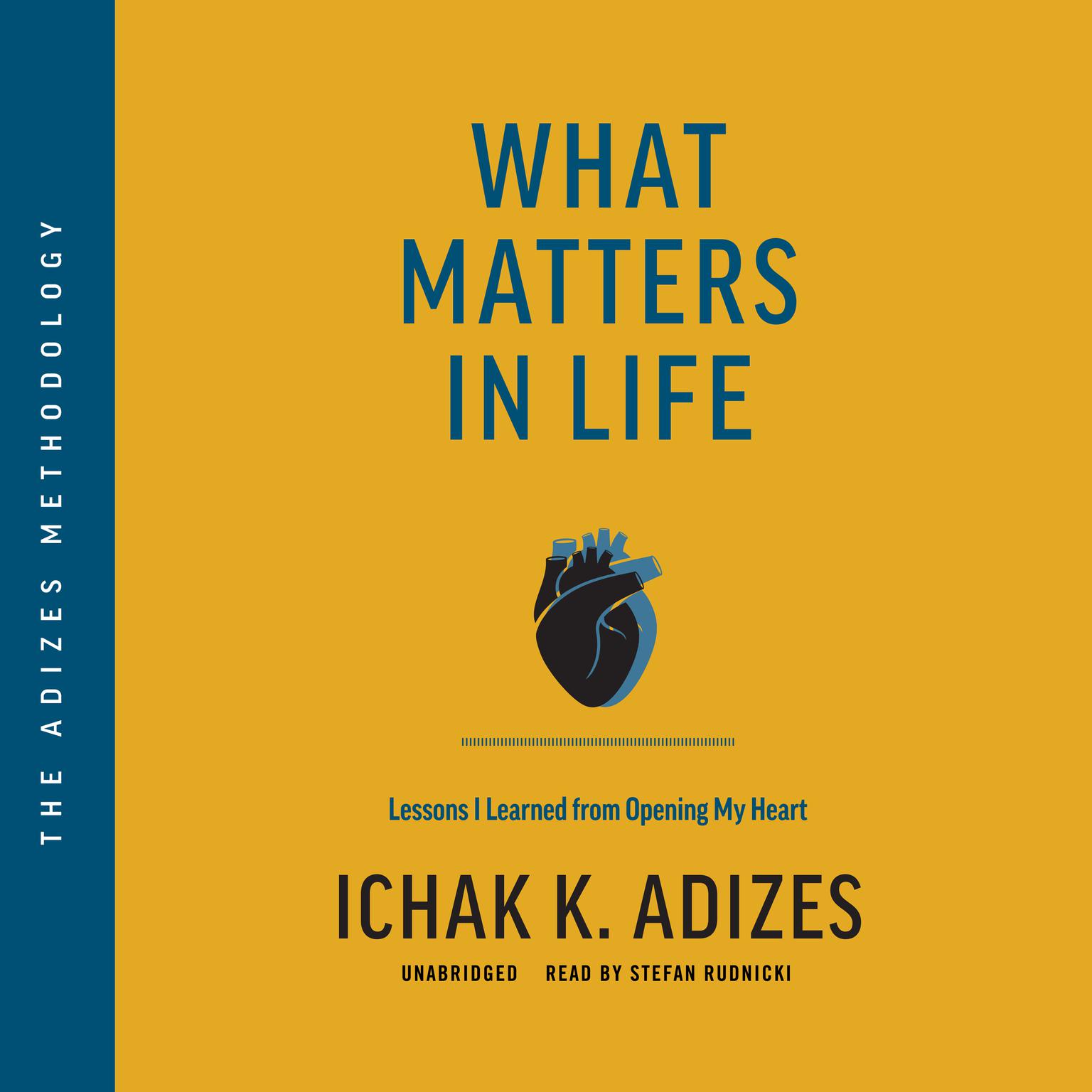 What Matters in Life: Lessons I Learned from Opening My Heart Audiobook, by Ichak K. Adizes