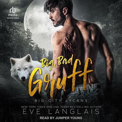 Big, Bad Gruff Audiobook, by Eve Langlais
