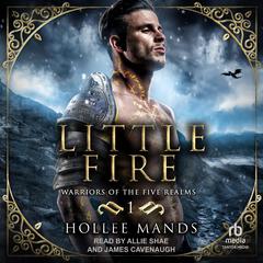 Little Fire Audiobook, by Hollee Mands