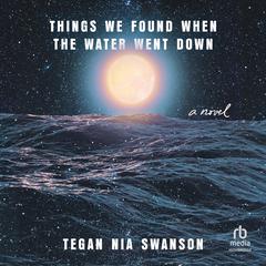 Things We Found When the Water Went Down Audiobook, by 
