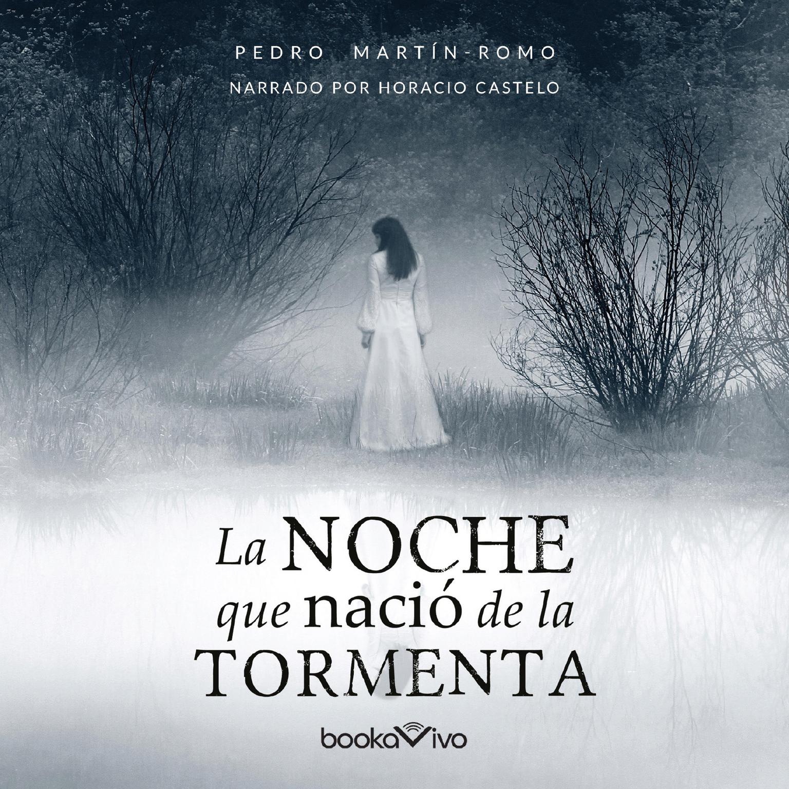 La noche que nació la tormenta Audiobook, by Pedro Martin-Romo