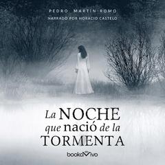 La noche que nació la tormenta (The Night that the Storm was Born) Audiobook, by Pedro Martin-Romo
