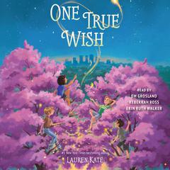 One True Wish Audiobook, by Lauren Kate
