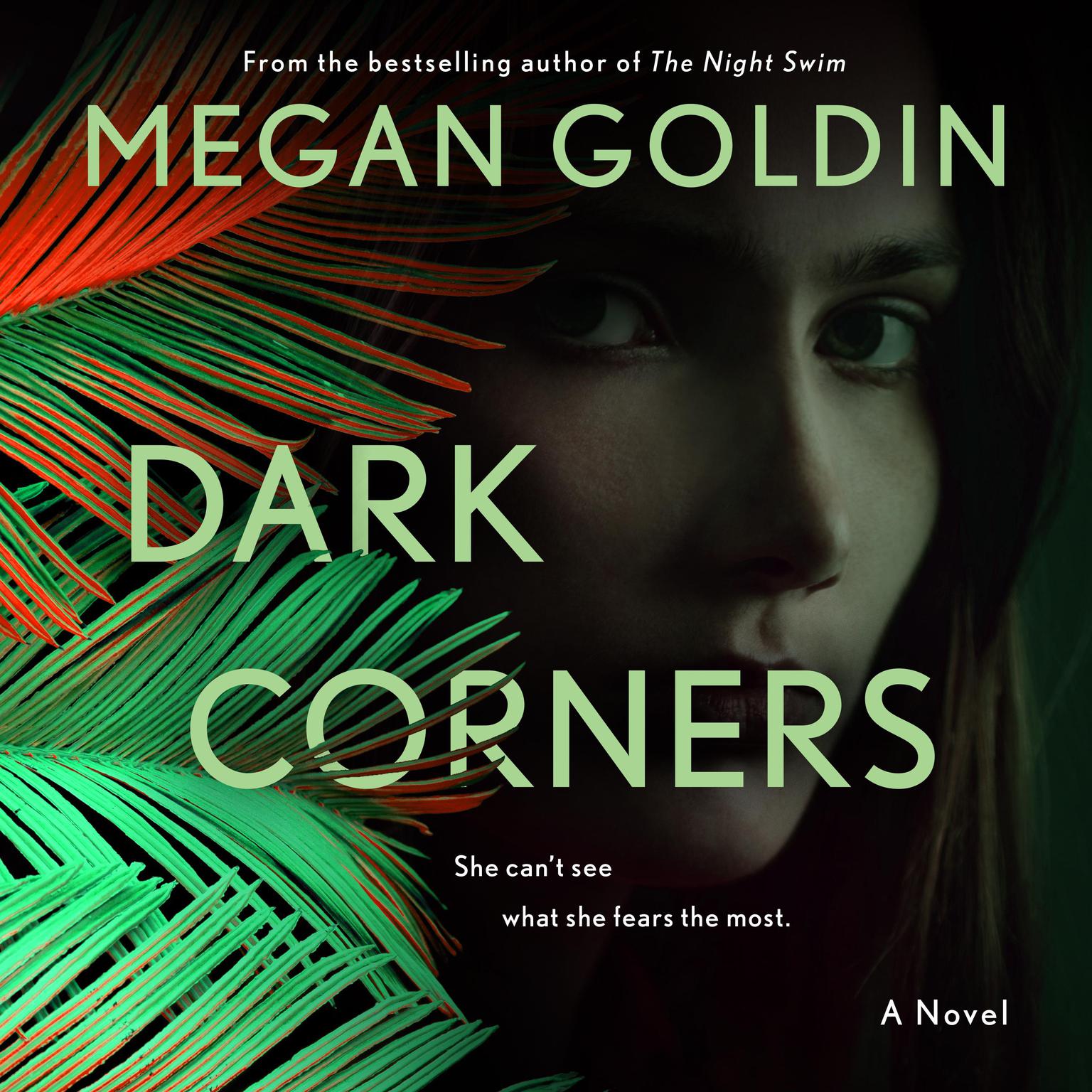 Dark Corners: A Novel Audiobook, by Megan Goldin