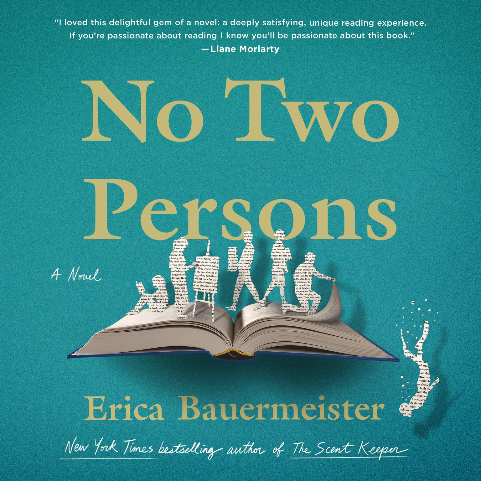 No Two Persons: A Novel Audiobook, by Erica Bauermeister