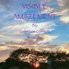 Visible Amazement Audiobook, by Gale Zoë Garnett