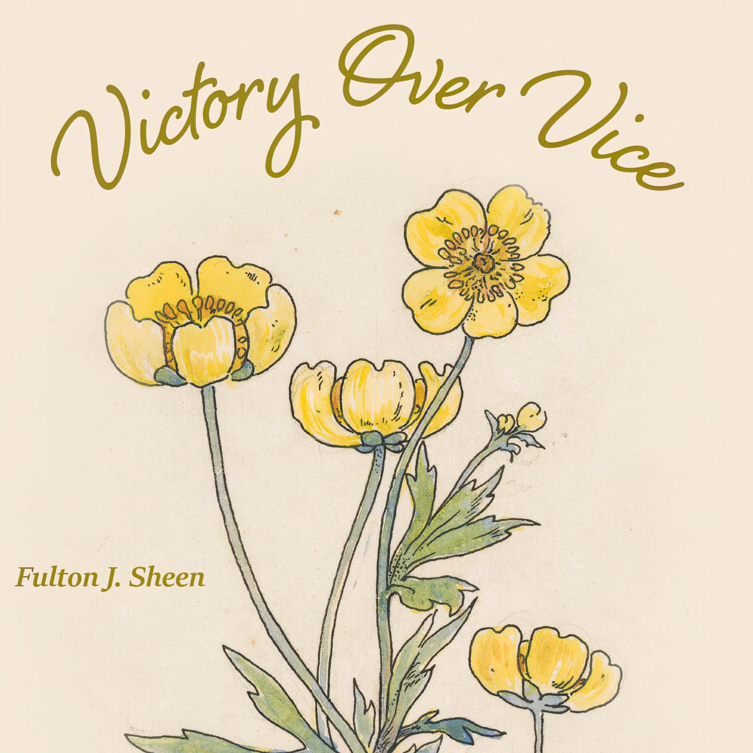 Victory Over Vice Audiobook, by Fulton J. Sheen