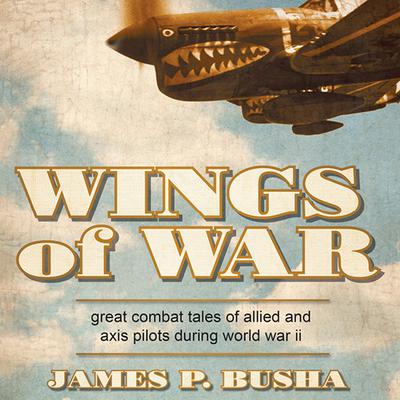 Wings of War: Great Combat Tales of Allied and Axis Pilots During World War II Audiobook, by James P. Busha