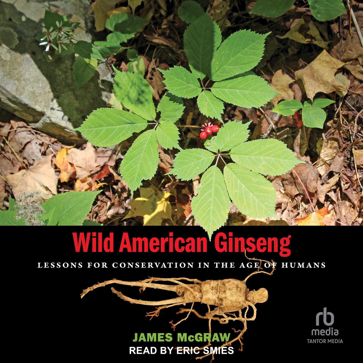 Wild American Ginseng: Lessons for Conservation in the Age of Humans Audiobook, by James McGraw