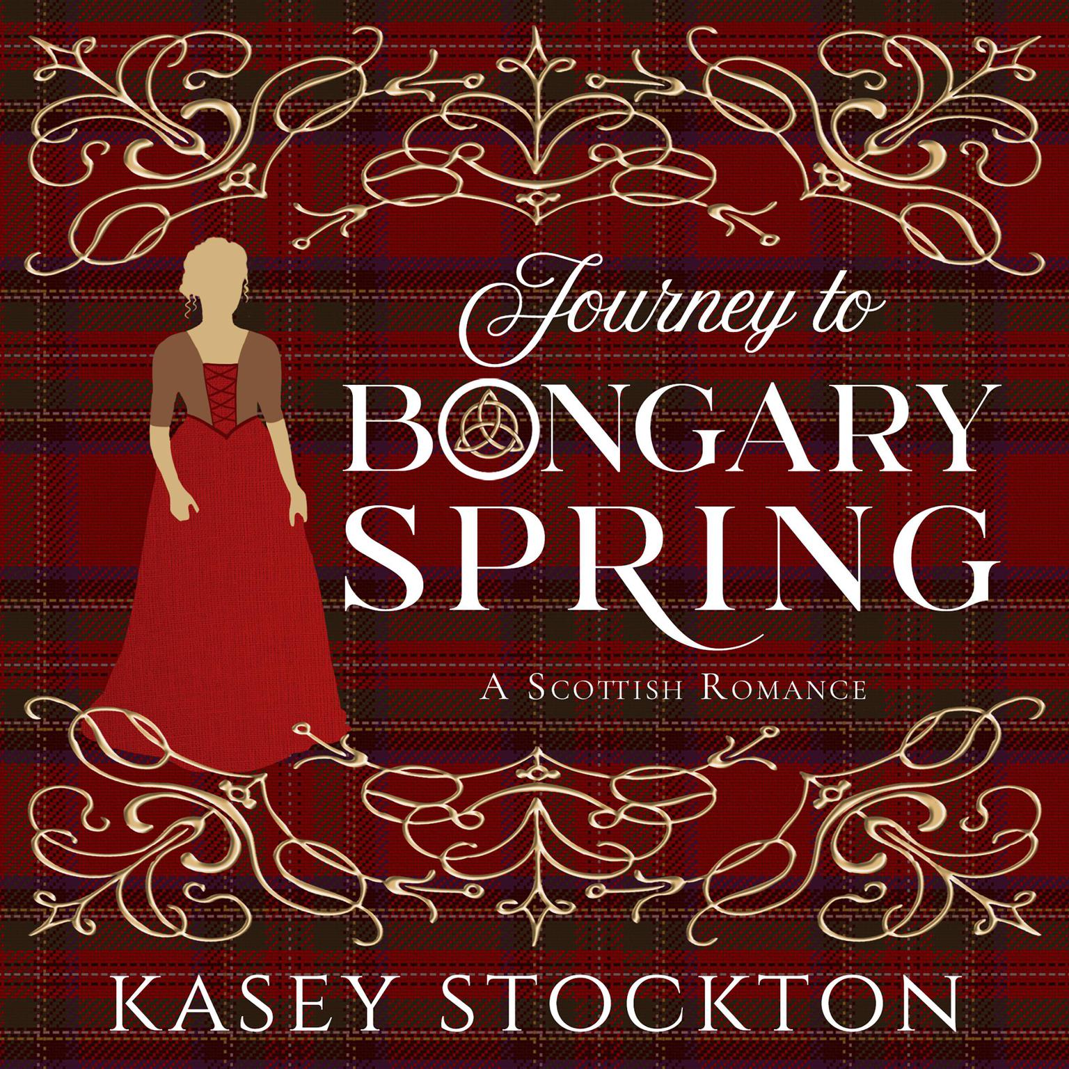 Journey to Bongary Spring Audiobook, by Kasey Stockton