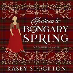 Journey to Bongary Spring Audiobook, by Kasey Stockton