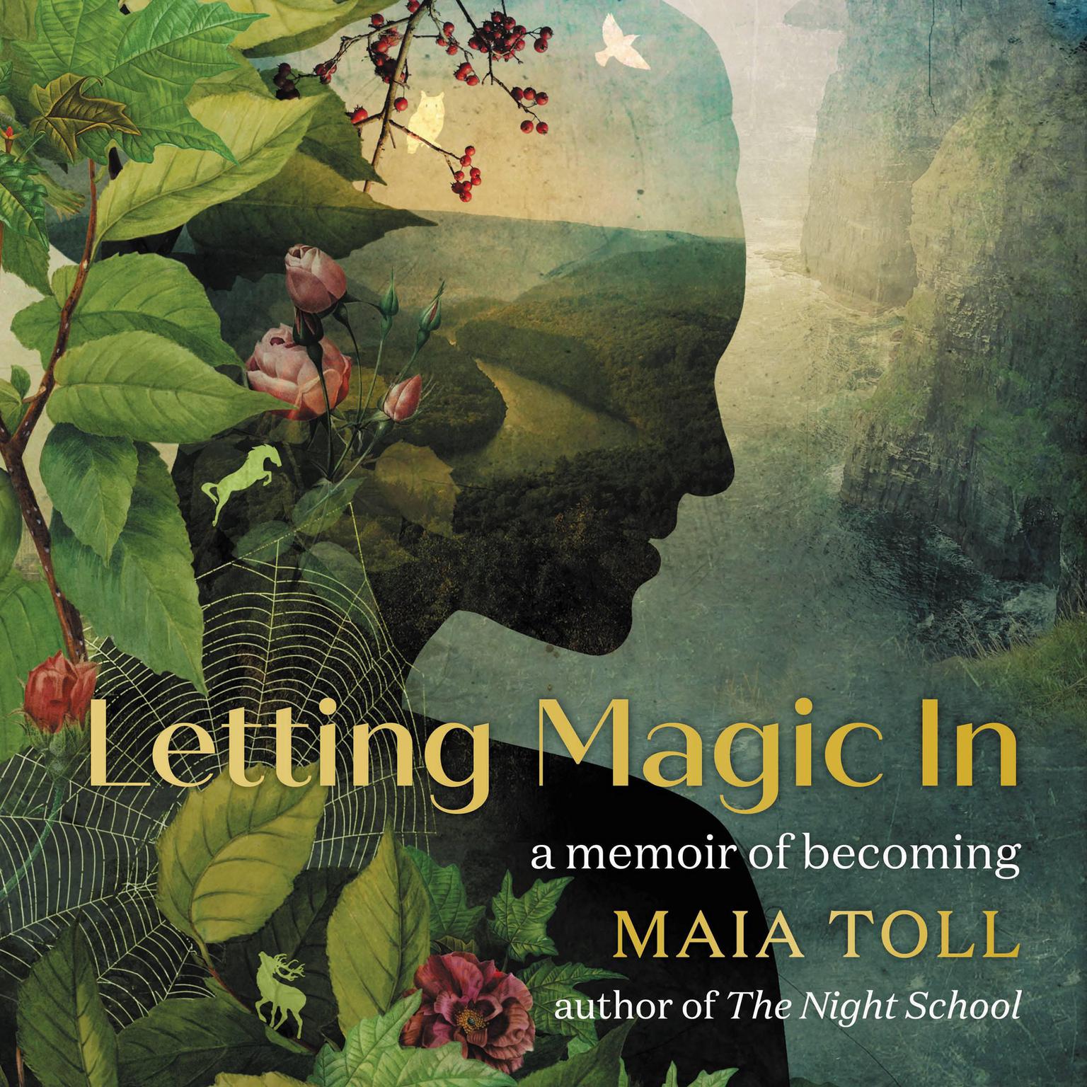 Letting Magic In: A Memoir of Becoming Audiobook, by Maia Toll