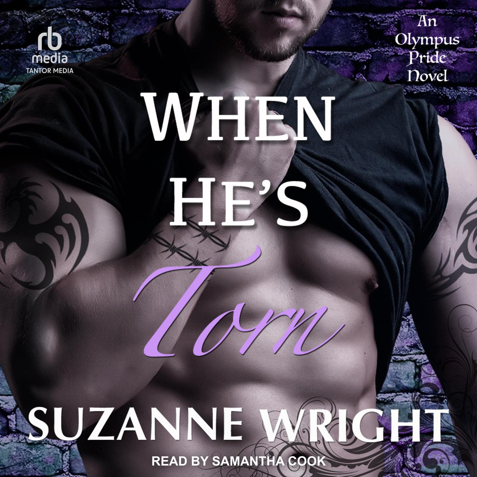 When Hes Torn Audiobook, by Suzanne Wright