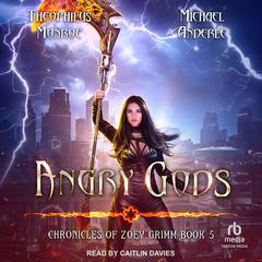 Angry Gods Audiobook, by Michael Anderle