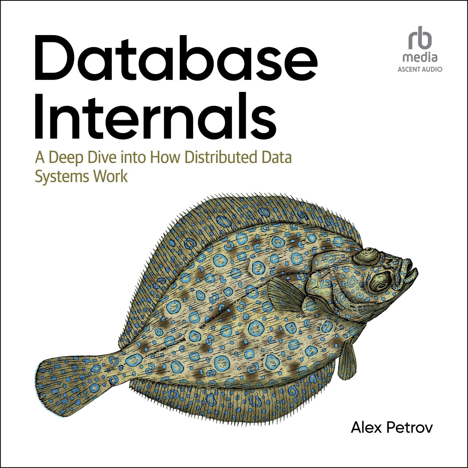 Database Internals: A Deep Dive into How Distributed Data Systems Work, 1st Edition Audiobook